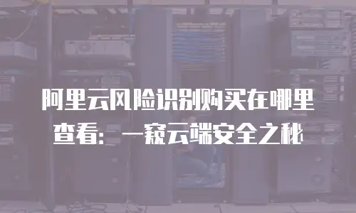 阿里云风险识别购买在哪里查看：一窥云端安全之秘