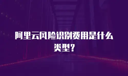 阿里云风险识别费用是什么类型？