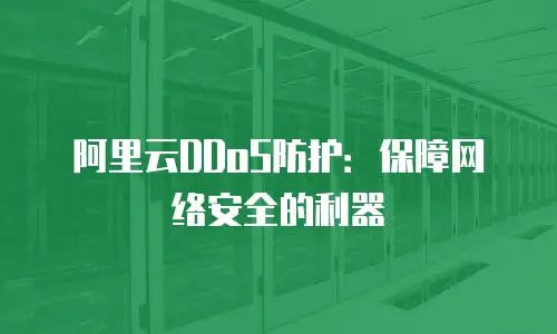 阿里云DDoS防护：保障网络安全的利器
