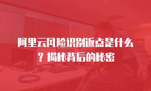 阿里云风险识别返点是什么？揭秘背后的秘密