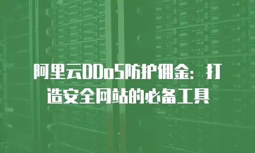 阿里云DDoS防护佣金：打造安全网站的必备工具