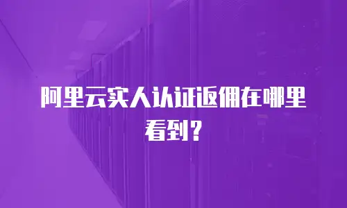 阿里云实人认证返佣在哪里看到？