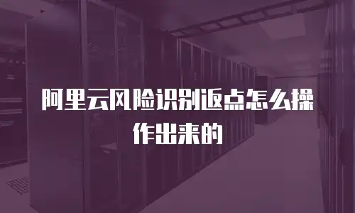 阿里云风险识别返点怎么操作出来的
