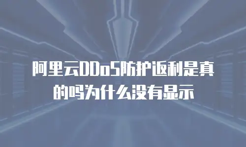 阿里云DDoS防护返利是真的吗为什么没有显示