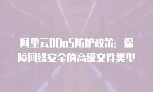 阿里云DDoS防护政策：保障网络安全的高级文件类型