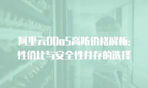 阿里云DDoS高防价格解析：性价比与安全性并存的选择