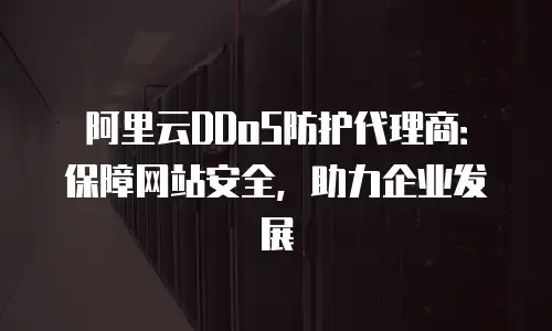阿里云DDoS防护代理商：保障网站安全，助力企业发展