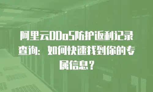 阿里云DDoS防护返利记录查询：如何快速找到你的专属信息？