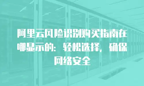 阿里云风险识别购买指南在哪显示的：轻松选择，确保网络安全