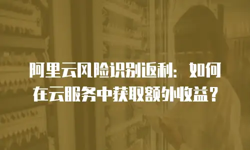 阿里云风险识别返利：如何在云服务中获取额外收益？