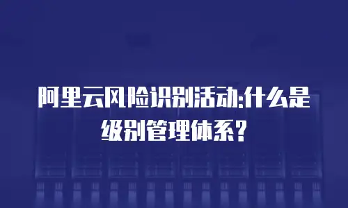 阿里云风险识别活动:什么是级别管理体系?