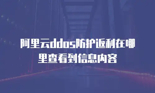 阿里云ddos防护返利在哪里查看到信息内容