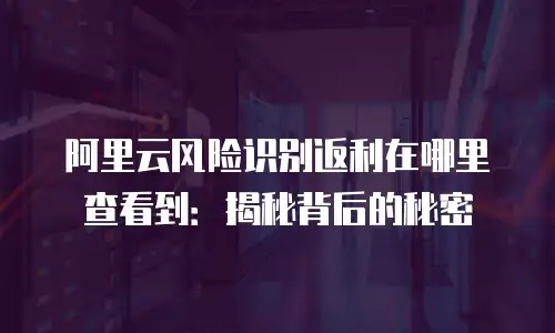 阿里云风险识别返利在哪里查看到：揭秘背后的秘密