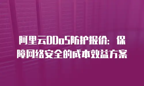 阿里云DDoS防护报价：保障网络安全的成本效益方案
