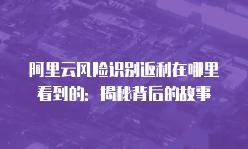 阿里云风险识别返利在哪里看到的：揭秘背后的故事