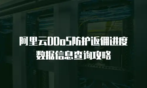 阿里云DDoS防护返佣进度数据信息查询攻略