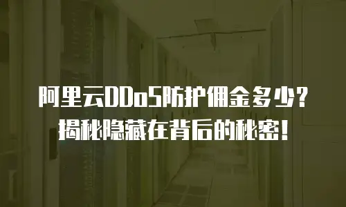 阿里云DDoS防护佣金多少？揭秘隐藏在背后的秘密！