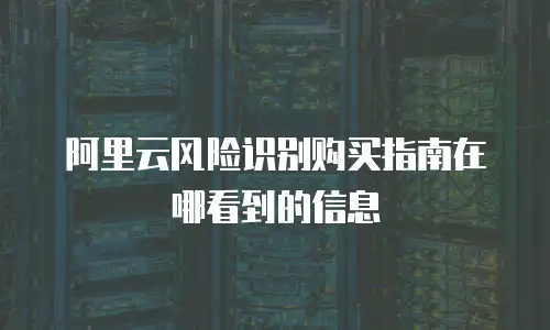 阿里云风险识别购买指南在哪看到的信息