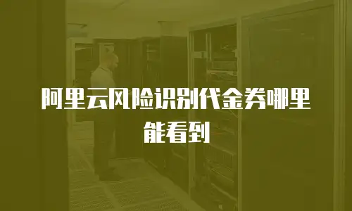 阿里云风险识别代金券哪里能看到