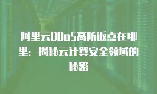 阿里云DDoS高防返点在哪里：揭秘云计算安全领域的秘密