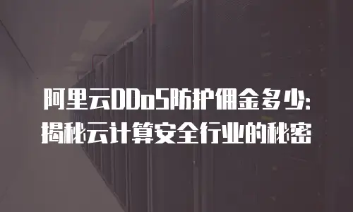 阿里云DDoS防护佣金多少：揭秘云计算安全行业的秘密