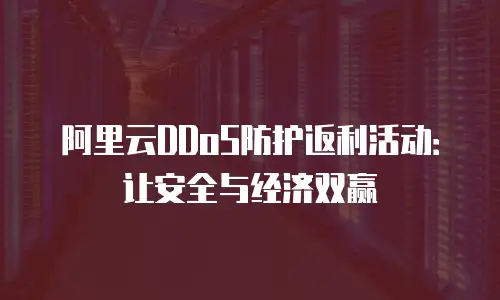 阿里云DDoS防护返利活动：让安全与经济双赢