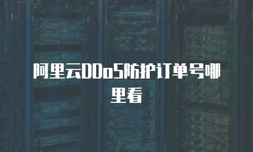 阿里云DDoS防护订单号哪里看