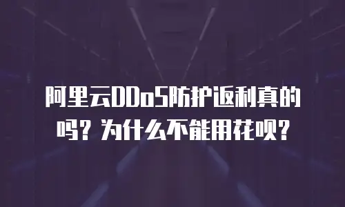 阿里云DDoS防护返利真的吗？为什么不能用花呗？