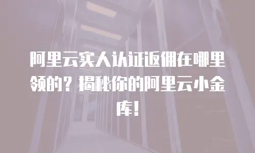 阿里云实人认证返佣在哪里领的？揭秘你的阿里云小金库！