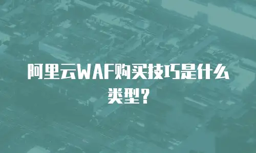 阿里云WAF购买技巧是什么类型？