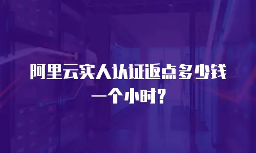 阿里云实人认证返点多少钱一个小时？