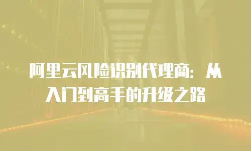 阿里云风险识别代理商：从入门到高手的升级之路
