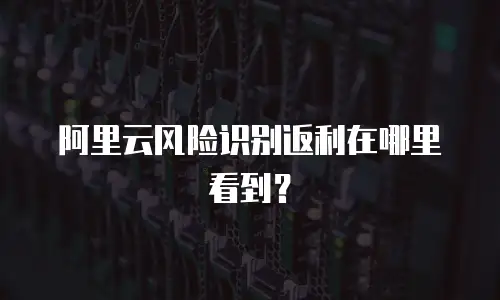 阿里云风险识别返利在哪里看到？