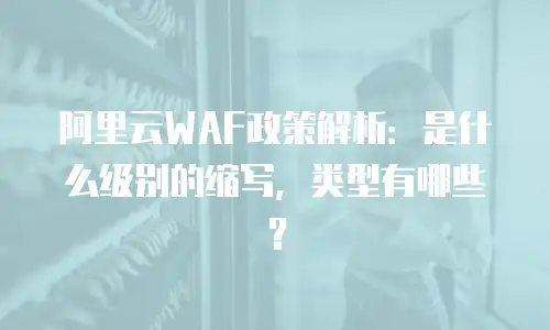 阿里云WAF政策解析：是什么级别的缩写，类型有哪些？