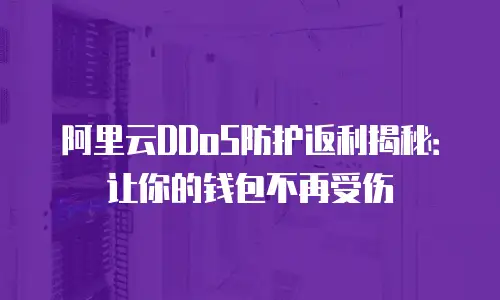 阿里云DDoS防护返利揭秘：让你的钱包不再受伤