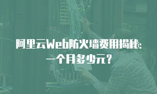 阿里云Web防火墙费用揭秘：一个月多少元？