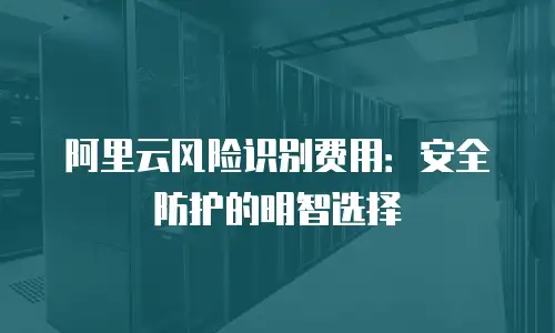 阿里云风险识别费用：安全防护的明智选择