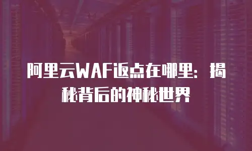 阿里云WAF返点在哪里：揭秘背后的神秘世界