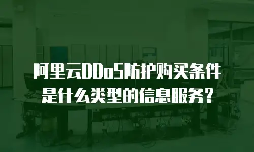 阿里云DDoS防护购买条件是什么类型的信息服务？