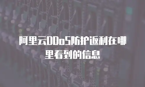 阿里云DDoS防护返利在哪里看到的信息