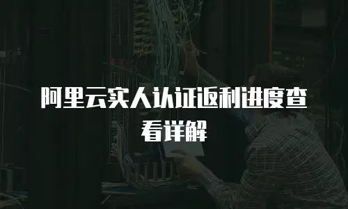 阿里云实人认证返利进度查看详解