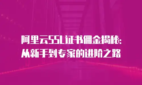 阿里云SSL证书佣金揭秘：从新手到专家的进阶之路