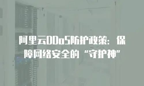阿里云DDoS防护政策：保障网络安全的“守护神”