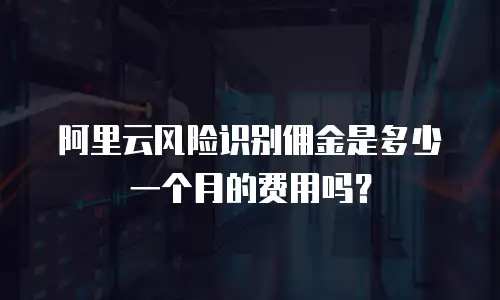 阿里云风险识别佣金是多少一个月的费用吗？