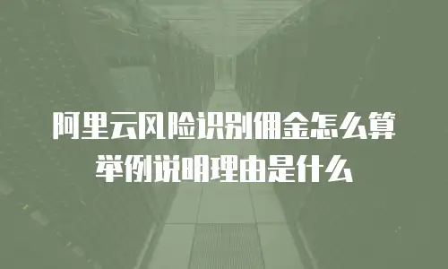 阿里云风险识别佣金怎么算举例说明理由是什么
