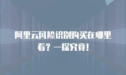 阿里云风险识别购买在哪里看？一探究竟！