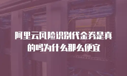 阿里云风险识别代金券是真的吗为什么那么便宜