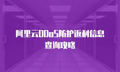 阿里云DDoS防护返利信息查询攻略