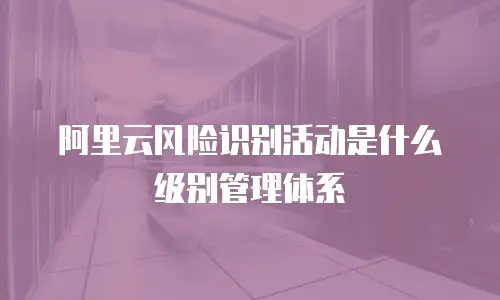 阿里云风险识别活动是什么级别管理体系