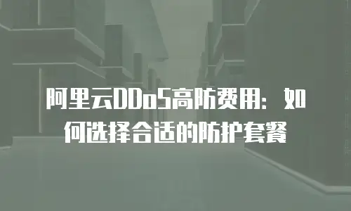 阿里云DDoS高防费用：如何选择合适的防护套餐